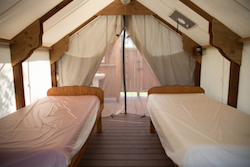 Tentalow beds smaller