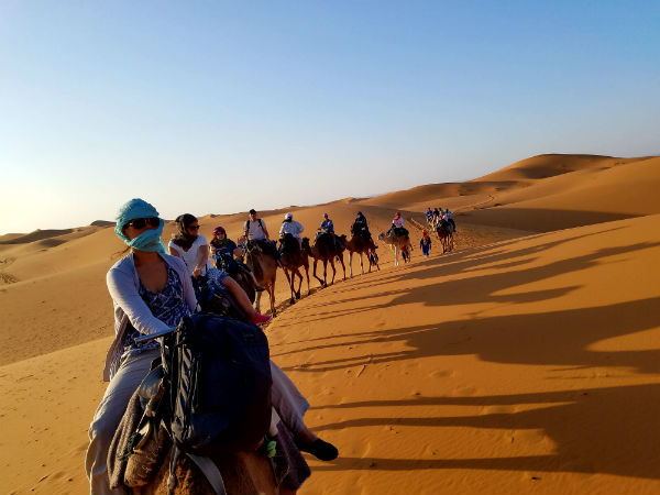 unique non touristy web page camel private 600